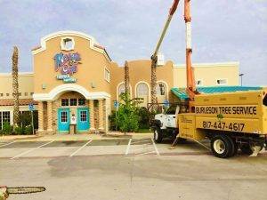 Burleson Tree Service (1)