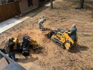 Burleson Tree Service (2)