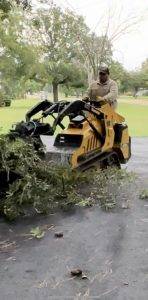 Burleson Tree Service (3)