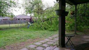 Burleson Tree Service (6)